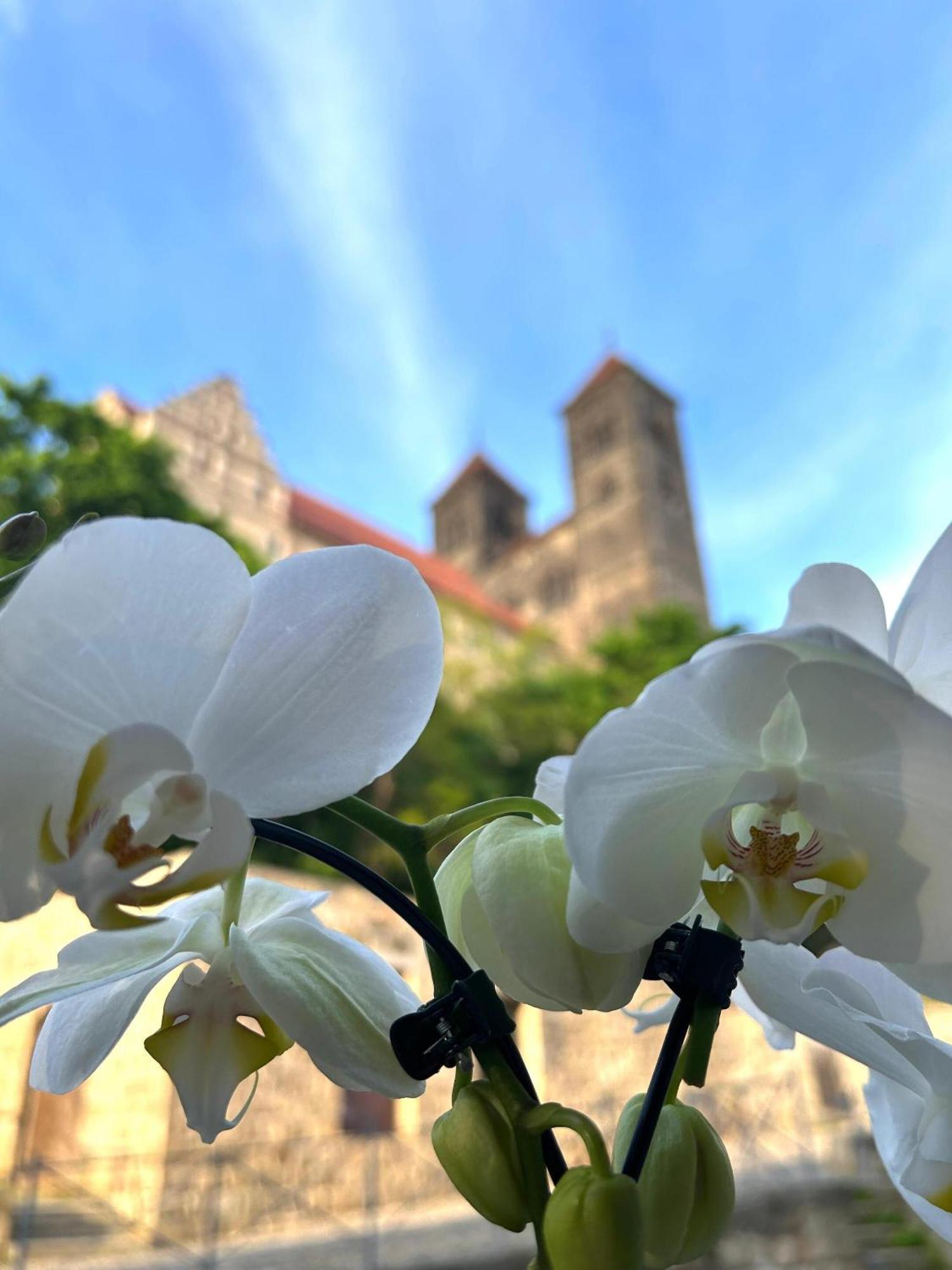 Hotel Domschatz เควดลินบวร์ก ภายนอก รูปภาพ